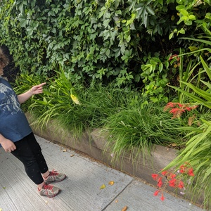 IMG_20190705_084507.jpg